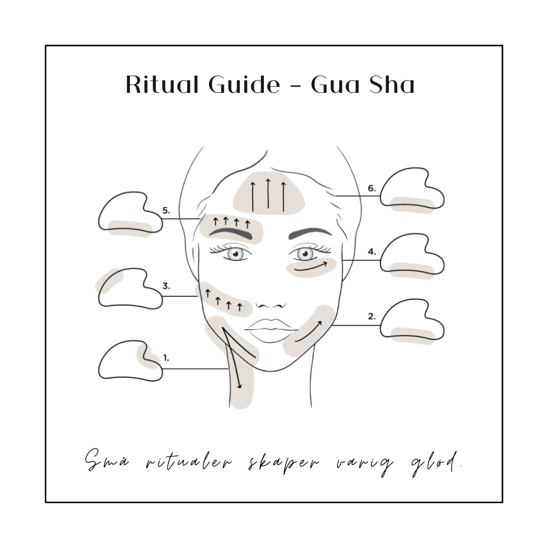 NOURISH Ritual Bundle